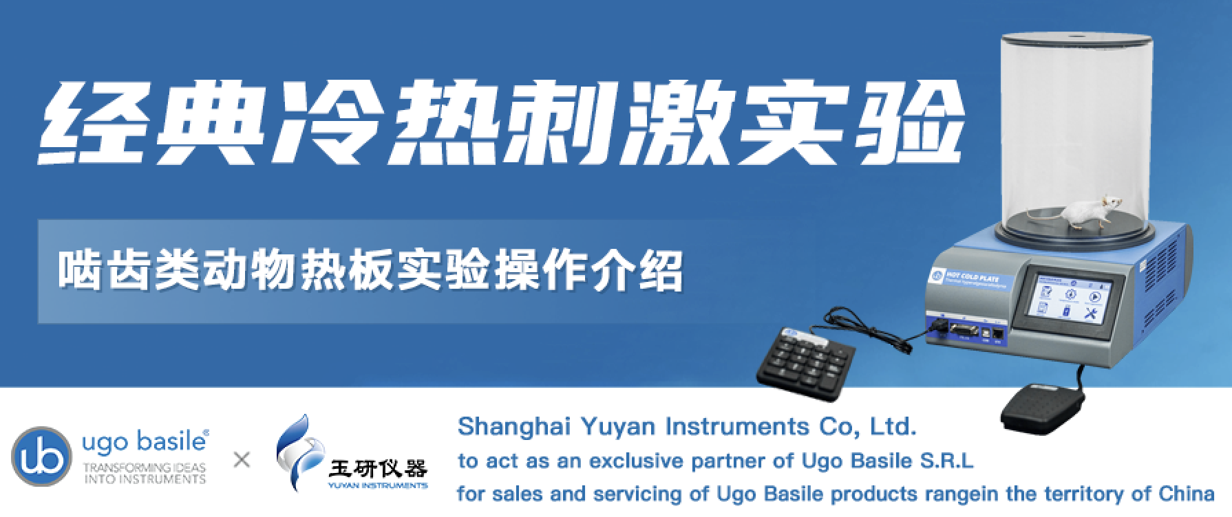 Ugo Basile | 經(jing)典(dian)冷(leng)熱刺激(ji)實(shi)驗(yan)——齧齒類動物熱(re)闆實驗(yan)撡作介紹(shao)