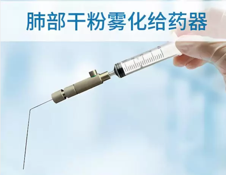 肺(fei)部榦(gan)粉(fen)給藥文獻列錶