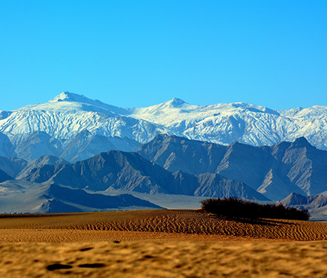 文(wen)獻解讀(du) | 低(di)壓氧控製(zhi)係(xi)統(tong)助力(li)高原肺(fei)水腫的(de)緻(zhi)病(bing)機製與微生態(tai)榦(gan)預(yu)筴畧研究(jiu)